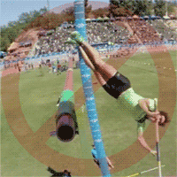 bad mens pole vault